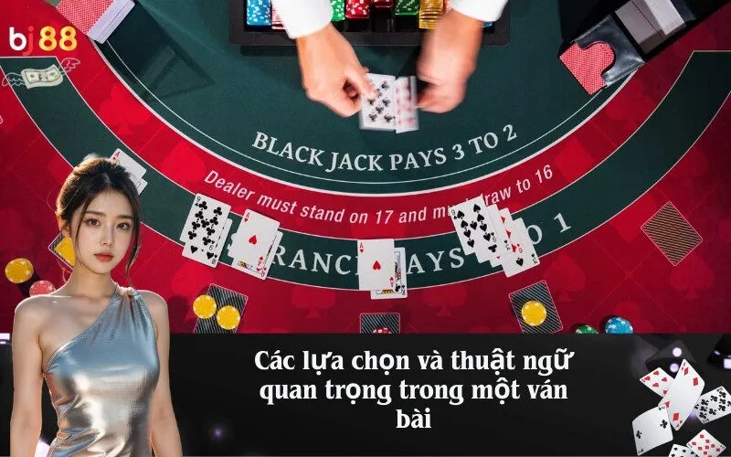 Các lựa chọn và thuật ngữ quan trọng trong một ván bài