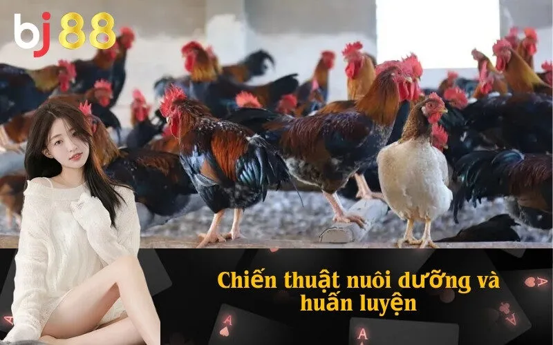 Chiến thuật nuôi dưỡng và huấn luyện