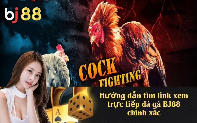 Hướng dẫn tìm link xem trực tiếp đá gà BJ88 chính xác